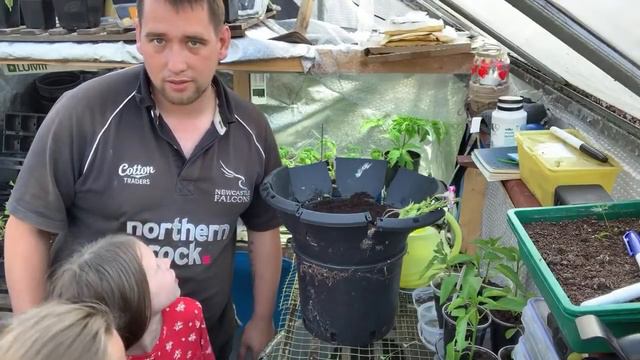 Begonia baskets Live смотреть онлайн