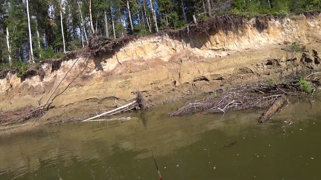Рыбалка Макса и Аслана в низовьях Чулыма