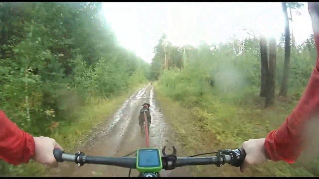 Оставь След просмотр смотреть онлайн