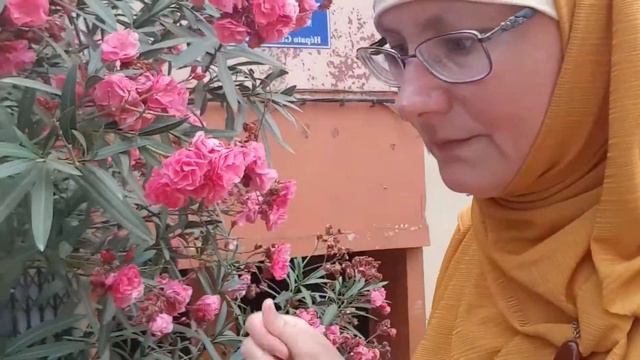 SAHA AIDKOUM смотреть онлайн