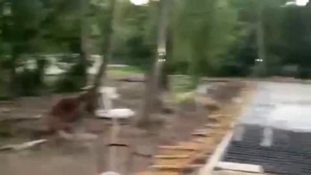 Монолитная плита под фундамент основание, способное выдержать действительно высокую нагрузку. смотреть онлайн