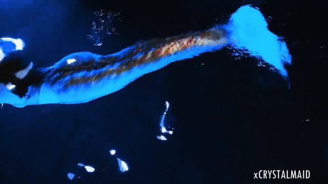 Mako Mermaids | Shelter смотреть онлайн