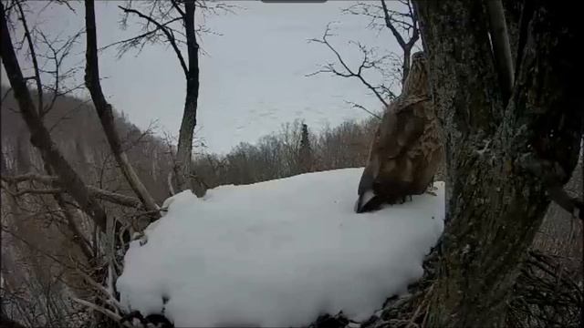 Нижняя Кама 24022020 смотреть онлайн