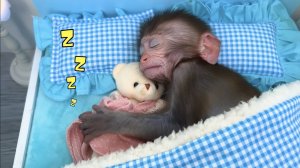 Малыш Бон Бон спит с плюшевым мишкой и ест пиццу с щенком