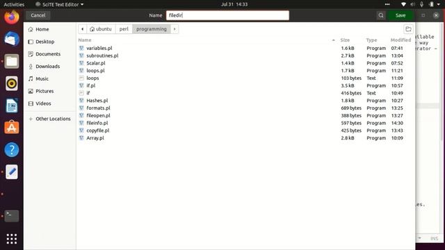 ch 13 How to display files in perl programming смотреть онлайн
