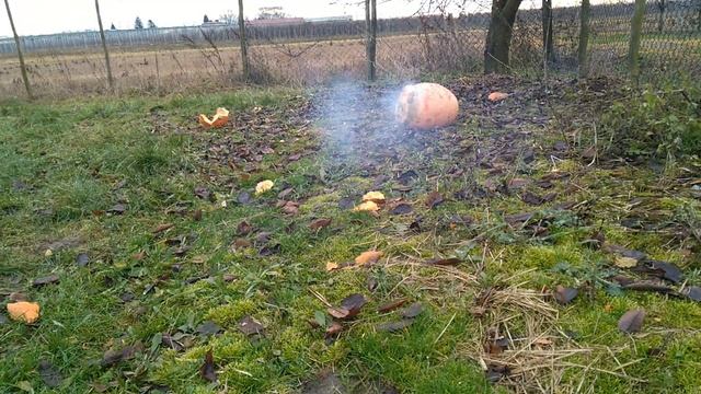 XP1011 Crazy Robots Vs Dynia (firecrackers vs pumpkin) смотреть онлайн