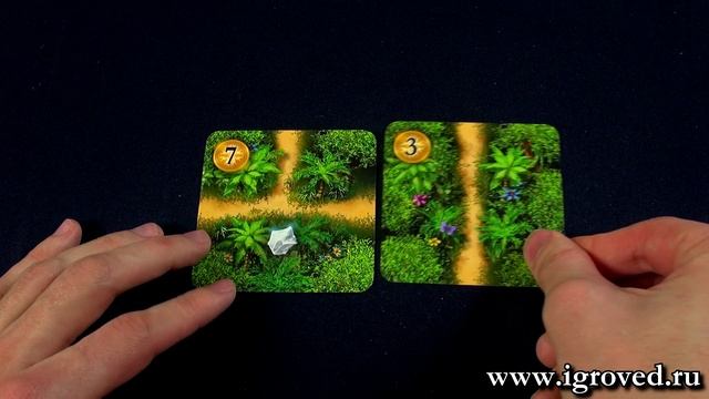 Каруба (карточная версия). Обзор настольной игры от Игроведа смотреть онлайн