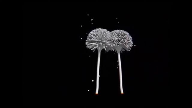 ПЛЕСЕНЬ Аспергіл (Aspergillus) смотреть онлайн