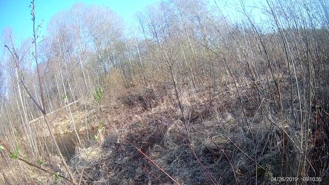 Как селезень Катю прищучил смотреть онлайн