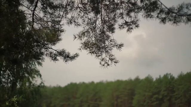 ЮПИТЕР 8 sony a7r2 смотреть онлайн