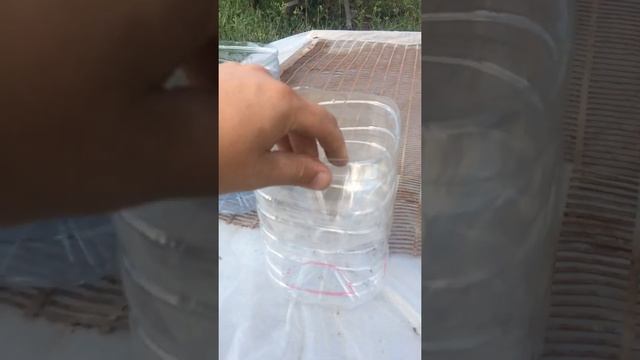 самые простые кормушки из 5 литровой бутылки смотреть онлайн