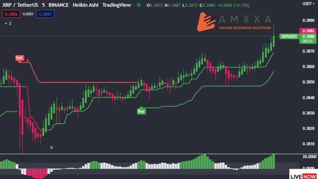 live XRP coin trading - xrp crypto live streaming #xrp #ripple #livestreaming смотреть онлайн