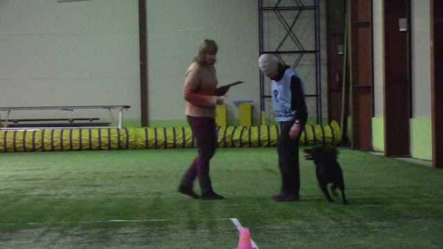 Бессонова Галина Хорватская овчарка BRITLEYS Quick As A Wink ОБД 1 Кубок Догсхолл 21.12.19