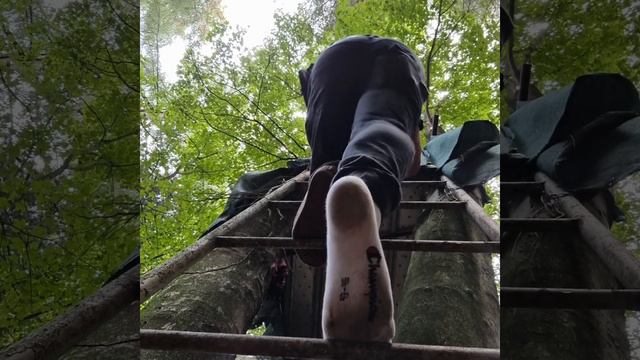 Vans Shoeplay And Lost One Shoe In The Forest