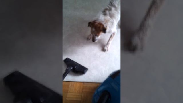 Prle biggest enemy from outta space смотреть онлайн