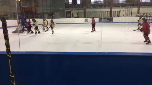Eric Nates Gold vs Red Pewee and squirt division смотреть онлайн