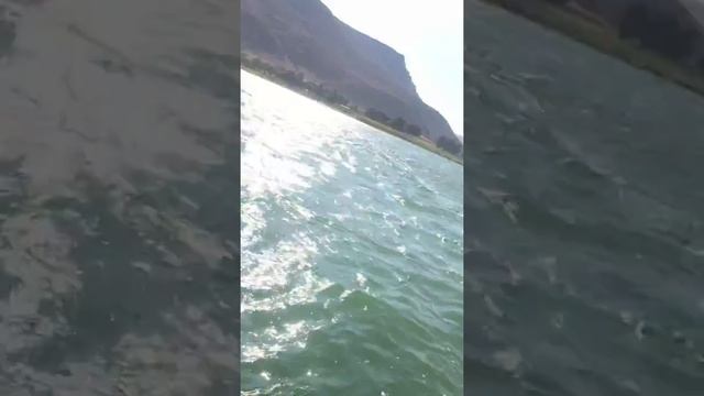 Jetski seadoo gtx 155 смотреть онлайн