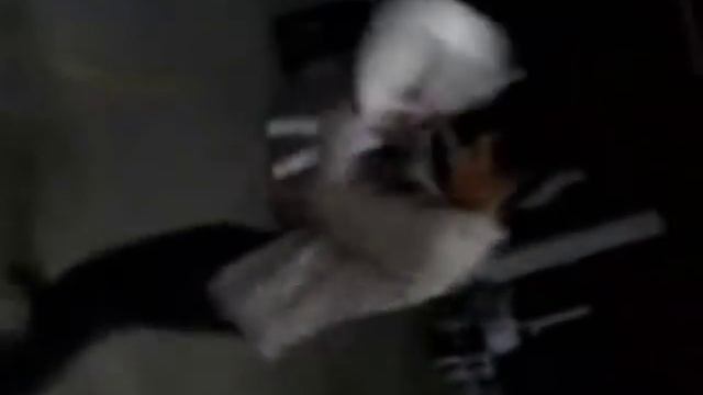 vaquero rockanrolero charlie montana смотреть онлайн