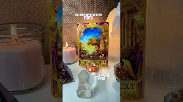 ✨This is your Sign from the Angels✨ #angels #asktheangels #oracle #oraclecards #oraclereading смотреть онлайн