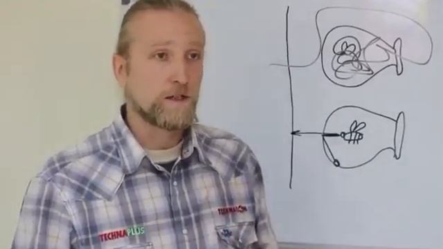 Чем отличается муха от пчелы смотреть онлайн