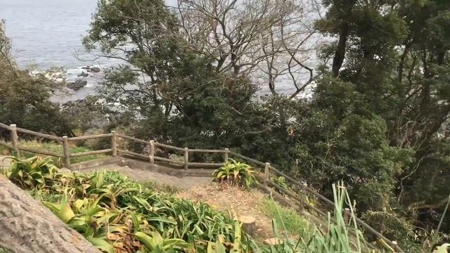 Приключения Чеполинок, полуостров Изу, Япония (13 марта, 2016) часть 1 смотреть онлайн