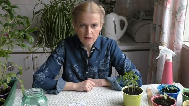 Рассада будет здоровой и крепкой: как и когда использовать Эмистим для рассады