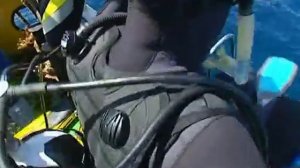 Сборник передач из цикла Искатели Тайна гибели Санта Фе