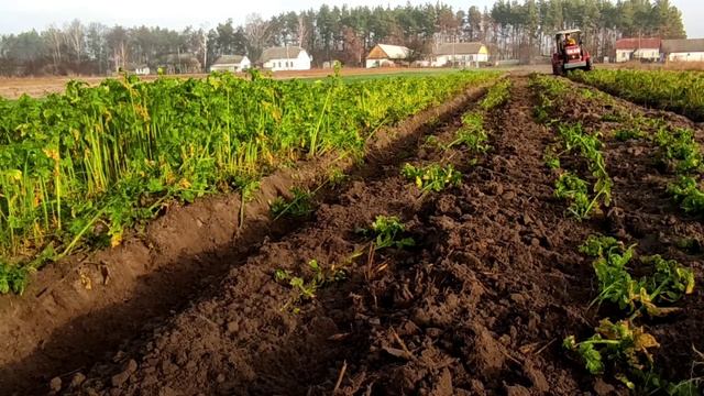 Оранка після доработок плуга 2*25 смотреть онлайн