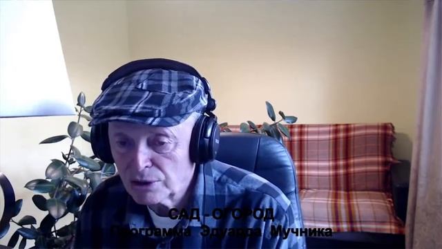 Дача в Америке. Куда девать тыквы. Чем улучшить компост. Как облагородить глиняную почву. смотреть онлайн