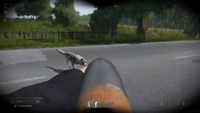 Волки крысы - нападают только со спины | DAY Z смотреть онлайн