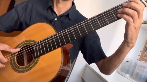 Le Samourai (The Samurai)(Der Samurai) - Paul Gerrits, Classical Guitar