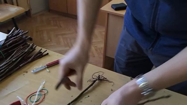 зимняя прививка (копулировка улучшенная) смотреть онлайн