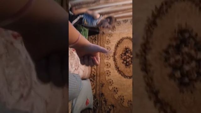 Маленький самбист!! смотреть онлайн