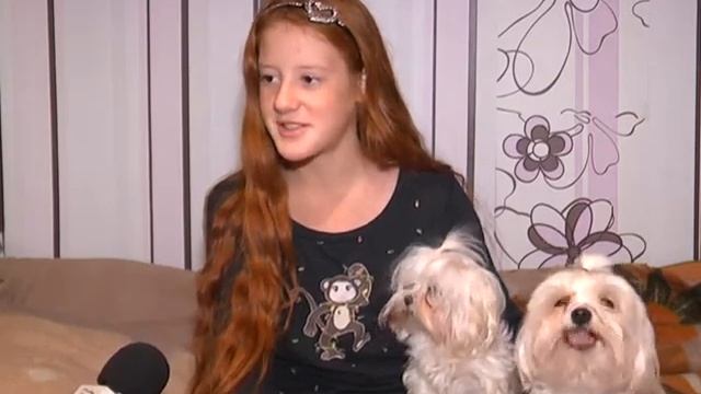 ИДЕАЛЬНАЯ СОБАКА: МАЛЬТЕЗЕ смотреть онлайн