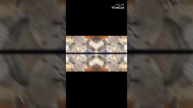 Мой прайд,мир управляемый котами. смотреть онлайн