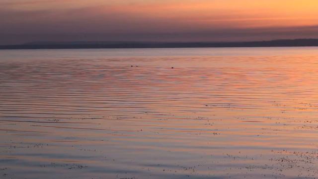 Утро на Карачуновском водохранилище. Кривой Рог | Карачуны смотреть онлайн