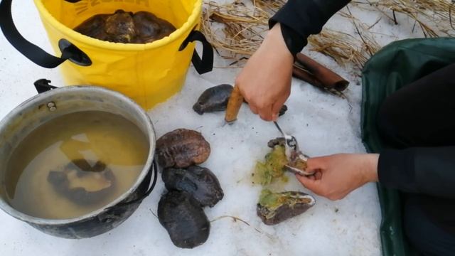 Всё про кукумарию и немного про морское чудо-юдо смотреть онлайн