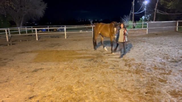 Александра и Ларго (Израиль) задание 1 смотреть онлайн