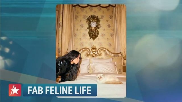 Karl Lagerfeld's Cat Choupette's Ultra GLAM Life смотреть онлайн