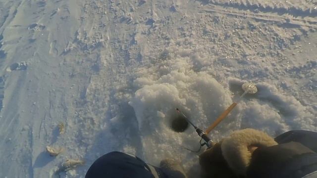 рыбалка на оз.Чаны (мурашовик) 18.12.2022 смотреть онлайн