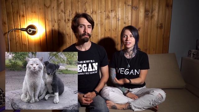 Помощь животным. Спасение животных. Что будет с ними в веганском мире? || VEGAN FAMILY смотреть онлайн