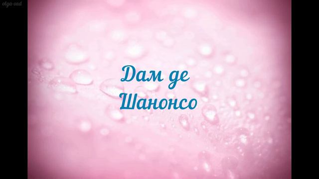 Розы флорибунда.Часть №2. Лето 2020г. смотреть онлайн