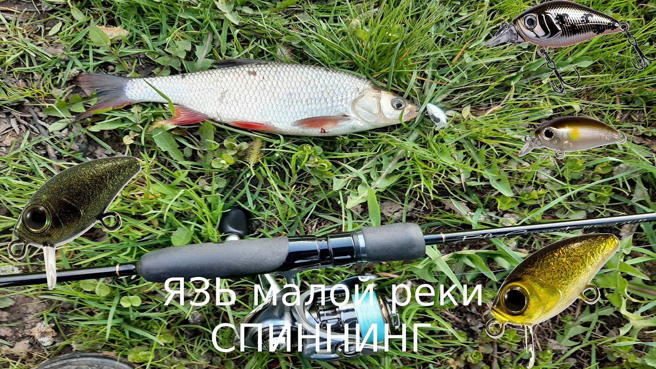 Язь на воблеры. Camion. Bug Minnow 25 SR. icat 32 смотреть онлайн