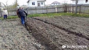 Пахота конем. Садим картошку конем.