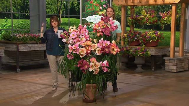Roberta's 10-pc. Select 300 Series Flower Power Daylilies with Jill Bauer смотреть онлайн