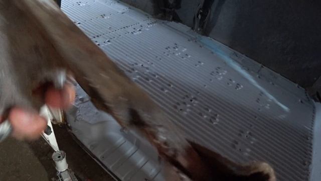 VW T4 ПРЕДПРОДАЖНАЯ ПОДГОТОВКА КУЗОВА, AJT УХОДИТ НА ПРОДАЖУ. смотреть онлайн