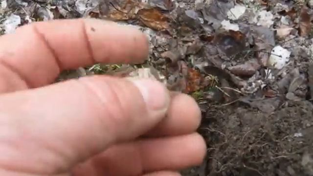 Metal Detecting with Minelab Explorer - 3/31/12 смотреть онлайн