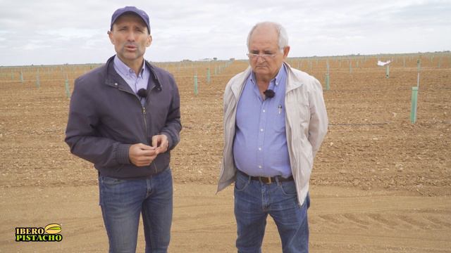 ¿ Por qué plantar pistachos con la planta en verde ? - Innovación y Desarrollo - Finca IberoPistach смотреть онлайн