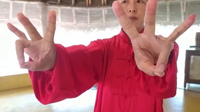 Easy Qigong Exercises For Beginners  -  What To Do In Auroville  [Ping Shuai Gong]