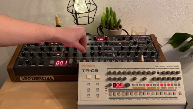 Techno Jam on a Prophet 6 & Roland tr09 смотреть онлайн
